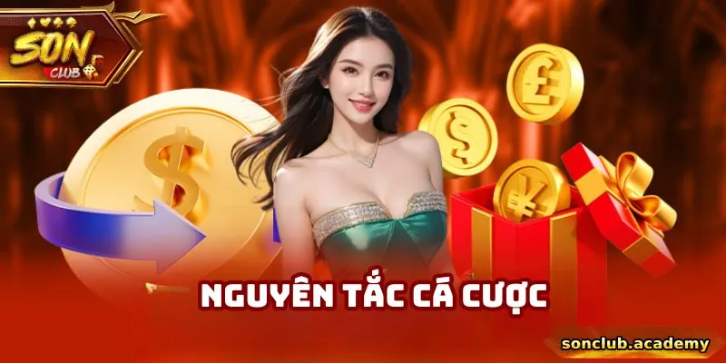 Những quy định liên quan đến hoạt động tham gia sân chơi