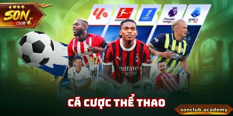 Sân chơi sở hữu các loại cược thể thao đa dạng