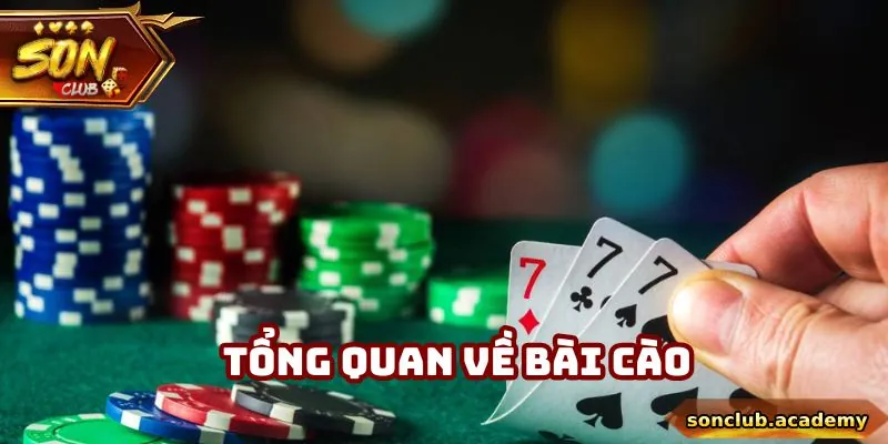 Tổng quan về bài cào